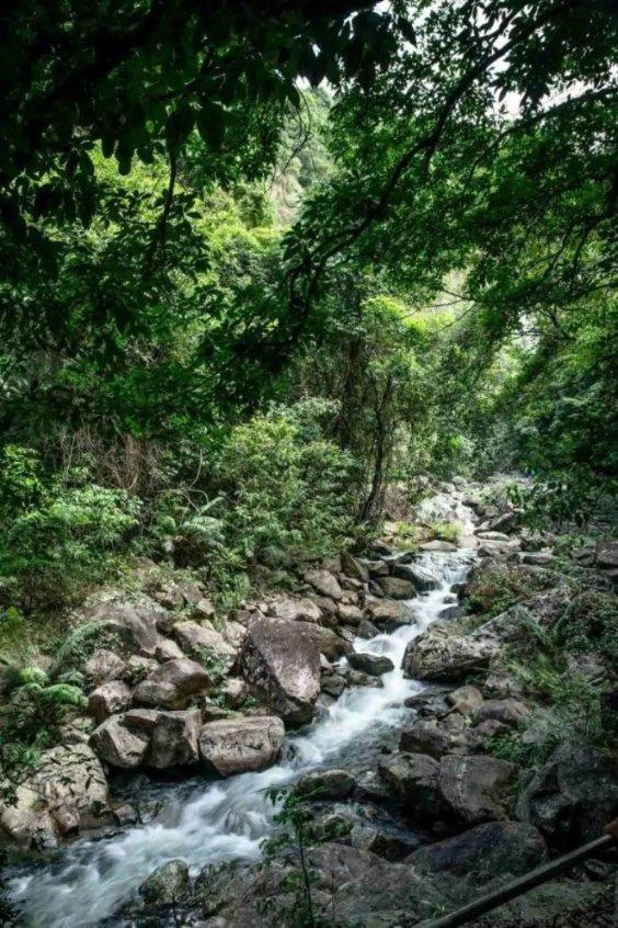 植物大战僵尸8